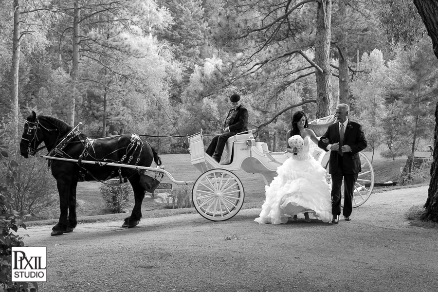 Four Seasons Wedding Photography 
