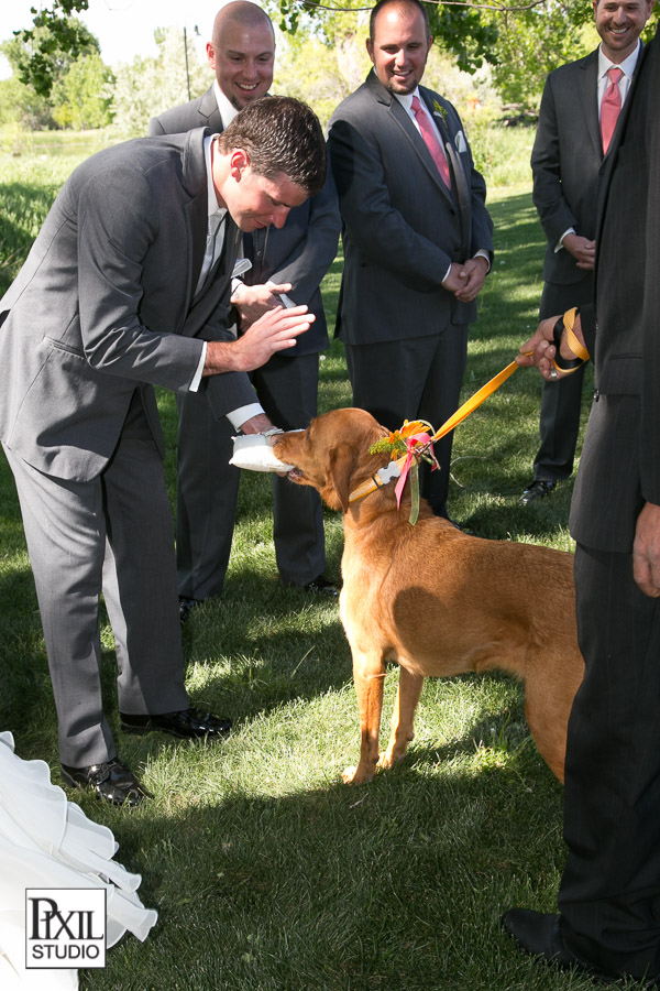 Fort collins Brewery Wedding