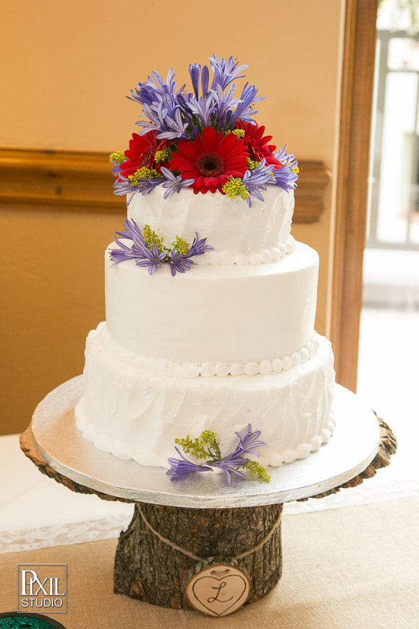 Gondola Charter wedding in Vail Beaver Creek 