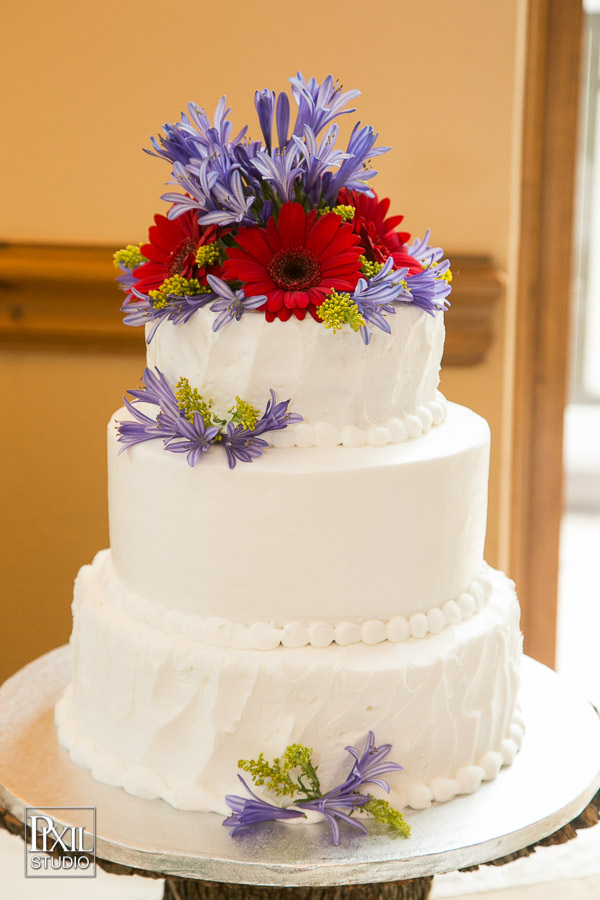 Gondola Charter wedding in Vail Beaver Creek 
