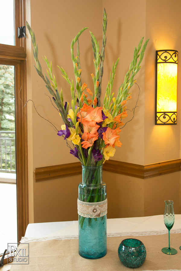 Gondola Charter wedding in Vail Beaver Creek 