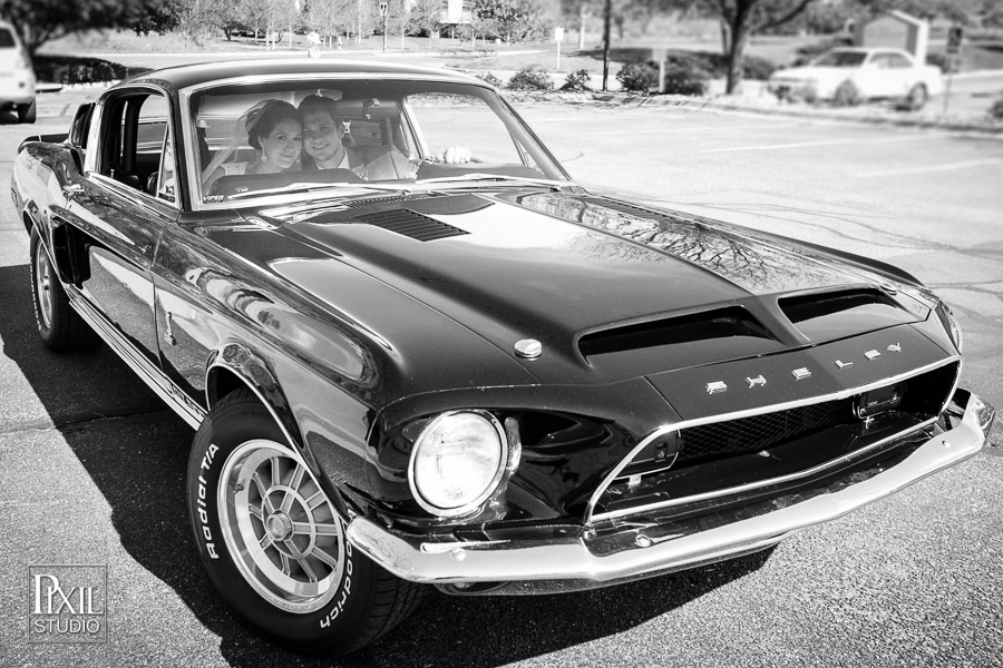 Greek Orthodox / Backyard wedding photographer