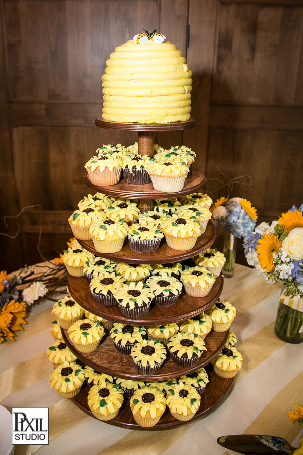 Vista at Arrowhead Wedding Photography 