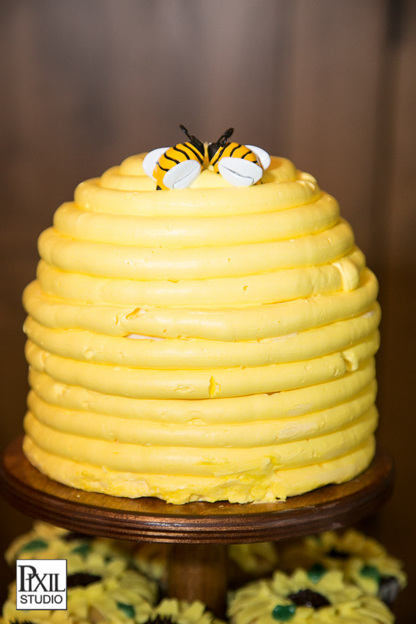 Vista at Arrowhead Wedding Photography 